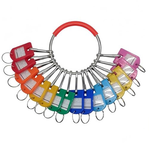 Alide Organizador de anillos de metal con 16 ganchos de resorte y etiquetas para llaves para guardar y clasificar llaves.