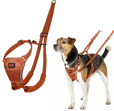 HALTI No Pull Anti-Zug Geschirr - Verhindert, dass Ihr Hund an der Leine zieht, Gepolsterter Brust- und Beingurt, Reflektierendes Gurtmaterial, Einfache Anpassung und Benutzung(Größe XS, Dunkelorange)