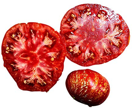 Tomate -Feuerwerk- 10 Samen