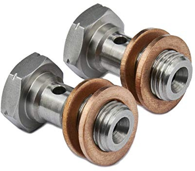 PrecisionGeek Edelstahl-Hohlschraube M10 × 1,0 mm – 20 mm Länge, 2er-Set – Bremszylinder-/Bremssattel Verbindung
