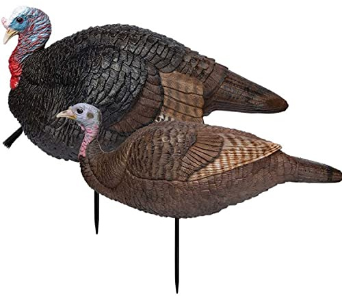 Primos Hunting Lil Gobstopper 69075 - Señuelo de Caza Plegable para gallina y Jake