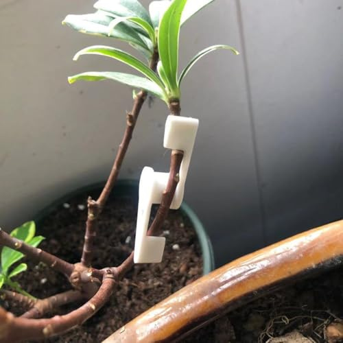 Yuanpgky 20 clips de entrenamiento de plantas para control de crecimiento de 360 grados, doblador de plantas de bajo estrés con diseño ajustable para plantas de tomate y árboles frutales, material