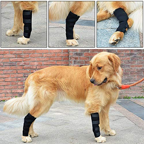 YJZQ 2pcs Hund Sprunggelenk Schutz Bandage 1 Paar Haustier Hunde Handgelenk Bandage Hunde Kniebandage Gelenkbandage Stützbandage Haustier Schutzausrüstung Kniepolster für Hunde,Hundebein-Ärmel