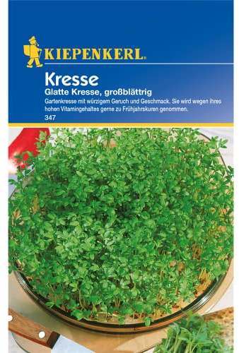 Kiepenkerl Kressesamen Glatte, großblättrig 347 – Gartenkresse mit würzigen Geruch und Geschmack - Inhalt für 0,5 qm - Gemüsesamen - Kräutersamen - Saatgut