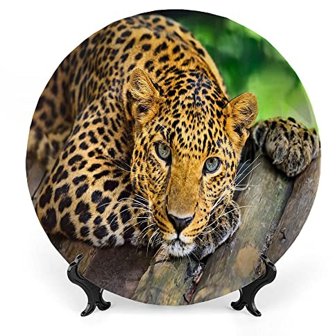 LIGUTARS Decorative Plates, Wild Leopard Print Ornament, Tropical African Savanna, 8 Inch, Kitchen Wall Decor, Multicolor