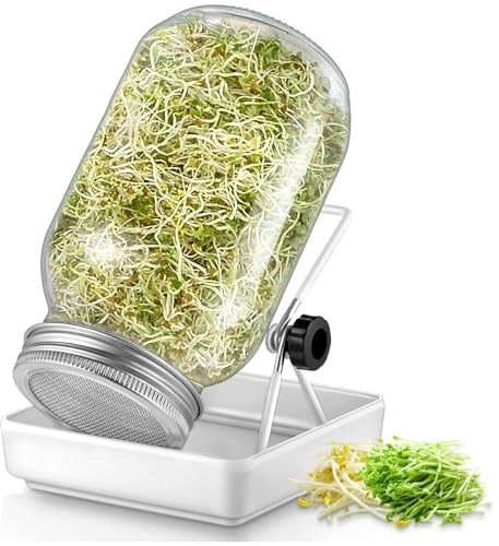 Sprossenglas Keimglas Set 1000ml,Keimglas für Sprossen Anzuchtset Sprouting jar mit Deckeln und Wasserschale,aus Edelstahl 304 und 1 Ständer,für Alfalfa Brokkolisprossen Mungobohnen (1er Set)