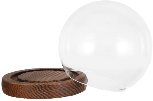 EPIGEIST Cúpula de Vidrio Transparente con Base de Madera Campana Decorativa para Flores Preservadas Exhibidor para Micro Paisajes y Decoración de Bodas Protector Polvo para Plantas