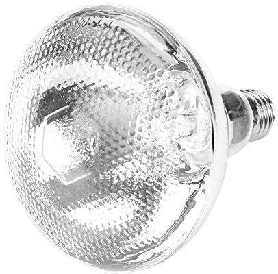 Zerodis 1 PC 100 w-245 w Ferme porcelet Lampe chauffante, étanche à l'eau antidéflagrante lumière Ampoule de Chauffage Dot épaissir la pour Le bétail Poulet Reptile(200w)