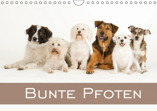 Bunte Pfoten / Geburtstagskalender (Wandkalender immerwährend DIN A4 quer): Wunderschöne Mischlingshunde im Studio (Monatskalender, 14 Seiten) (CALVENDO Tiere) [Kalender] [Dec 26, 2013] Noack, Nicole
