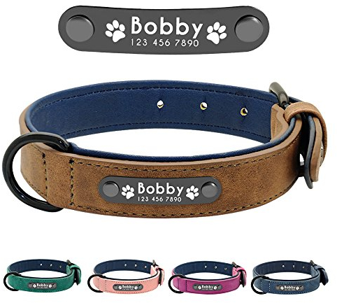 Didog Hundehalsband, weiches, gepolstertes, Leder, mit personalisierbarem, graviertem Namensschild, D-Ring. Für kleine und mittelgroße Hunde geeignet.