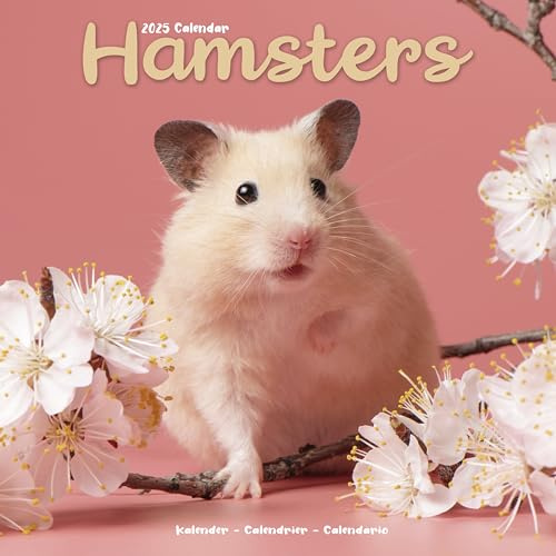 Hamsters Calendar 2025 Square Animal Wall Calendar - 16 Month: Original Avonside-Kalender [Mehrsprachig] [Kalender]