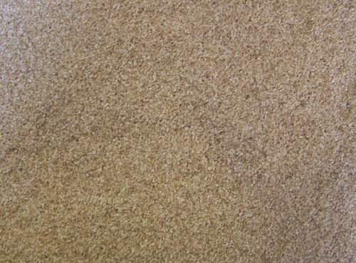 Räuchermehl Buche fein im 2 kg Sack