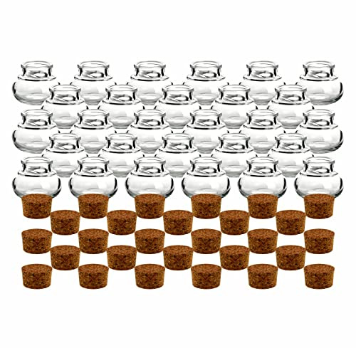 gouveo 28er Set Gewürzgläser 40 ml mit Korken - Mini Korkengläser mit Korkverschluss - Kleine Vorratsgläser für Kräuter, Gewürze - Kleine Glasdose (KGR040)