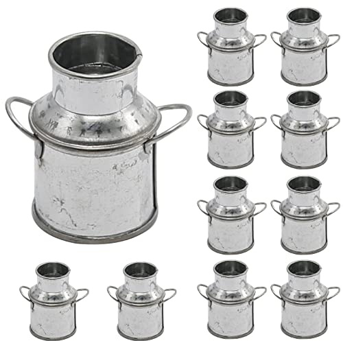 Lot de 10 mini pots à lait en métal de 5,1 cm, pot à lait en forme de pouce, carafe à lait vintage en fer galvanisé, petite carafe à fleurs rétro, vase bouilloire en zinc, décoration de paysage