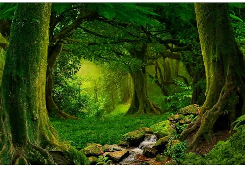Forest Photography Backdrop Natural Rainforest Landscape Background Outdoorsy Camping Theme Party Spring Mysterious Jungle Stream Huge Tree Theme Party Background Adult Photo Studio Props 7x5ft
