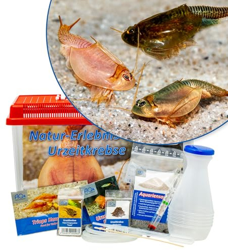 Triops Natur-Erlebnis-Set Urzeitkrebse mit 2,5 l Aquarium, Eier, Zubehör, Aktivboden, Futter, ausführlicher Anleitung