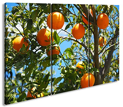 deyoli Leinwandbild Orangenbaum mit reifen Früchten, fruchtig und lebendig Format: 120x80cm (3Teilig) XXL Kunstdruck Bild auf Holzrahmen/Wandbild/Wohnzimmer Dekoration