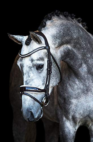 Premiera Verona anatomisches Trensenzaum (warmblut, Braun/weiß)