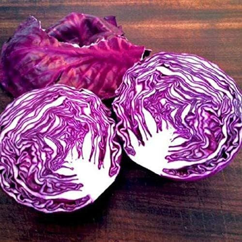 Radicchio Vegetable Seeds Brown 50pcs
