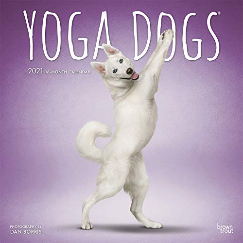 Yoga Dogs - Joga-Hunde 2021 - 16-Monatskalender: Original BrownTrout-Kalender [Mehrsprachig] [Kalender] (Wall-Kalender)
