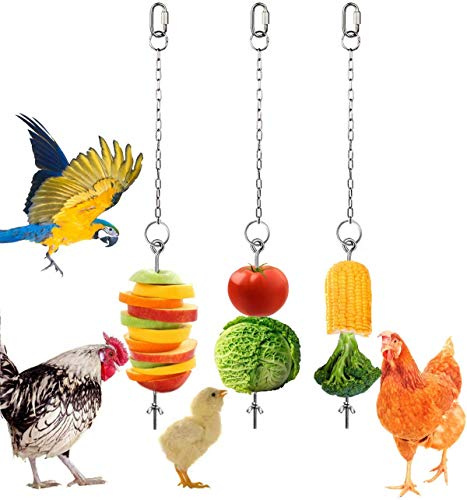 Spieß für Hühner, Gemüse, Obst, Futterhalter, Huhn, Spielzeug für Hühner, 3 Stück