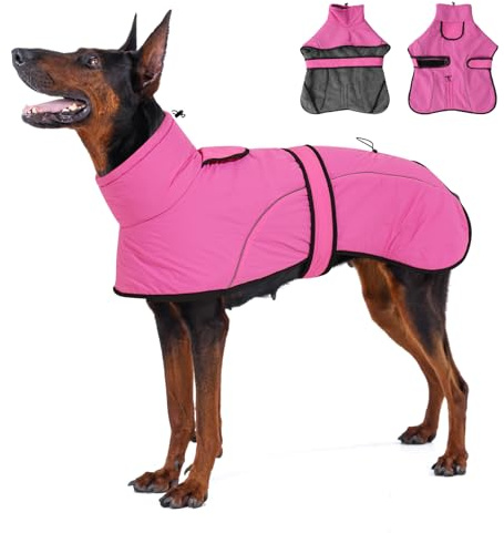 Dotoner Cappotto Impermeabile per Cani,Cappottino Cani,con Foro Guinzaglio e Bande,Giubbotto cane Antivento Invernale Termico con Bretchie Regolabile per Cane Taglia Piccola, Media e Grande