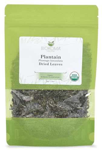 Biokoma Organic Plantain Dried Leaves 50g 1.76oz Plantago Lanceolata Herbal Tea USDA Organic Respiratory Digestive Skin Support Detox Resealable Moisture Proof Pouch No Preservatives No GMO Kosher