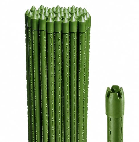 Paluplus 10 Canne in Acciaio con Rivestimento in Plastica Verde, Lunghezza 240 cm, diametro 16mm, Stecche Sostegno per piante Rampicanti, Ortaggi, Pomodori, per giardino, orto -F