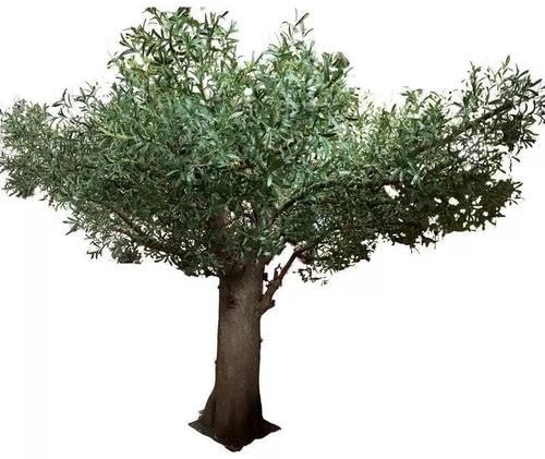 Olivo Artificial Alto, Planta Artificial Realista en Maceta con Frutos realistas for Decorar el Suelo de la Sala de Estar.(1mx0.9m)