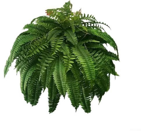 ZiStarlilife Boston artificial para helecho, pequeña planta de hierba verde para exteriores, arbustos, arbustos resistentes a los rayos UV, plantas artificiales para macetas de jardín, porche