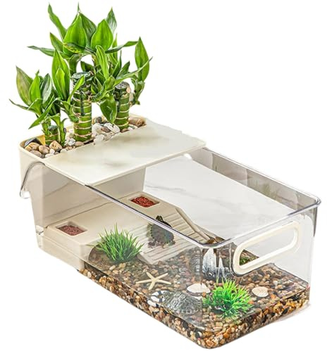 Aquarium pour Tortues - Espace de Vie Ouvert, Zone Solaire surélevée, enclos Polyvalent pour Animaux de Compagnie, Structure de Claire | Installation Pratique pour crabes, Amphibiens, Poissons