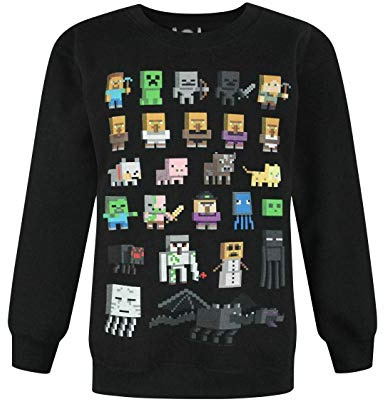Minecraft Sprites Boy's Black Sweatshirt