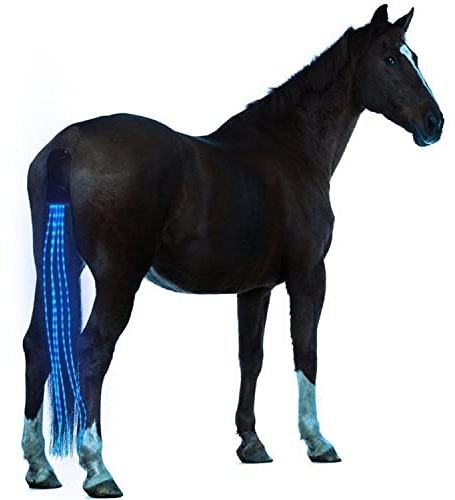SSZYace Equipo de caballo Montar cola Trappings ecuestre LED intermitente barra de luz arnés deportes al aire libre USB carga montar decoraciones (azul)