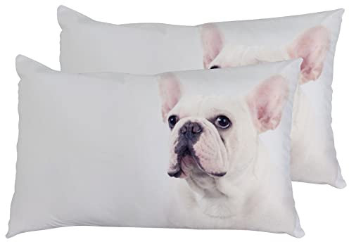 Juego De 2 Fundas De Cojín Adorable Bulldog Frances Cuadrado Cubierta De Almohada Decoración Modernas Funda De Almohada Cuadrada, para Oficina, Regalos, 40X60Cm