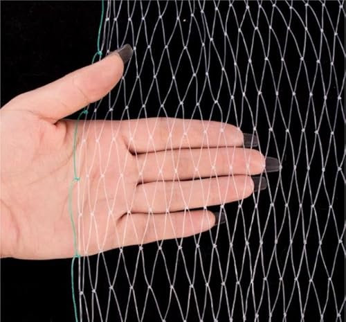 Filet anti-oiseaux transparent pour balcon, jardin, protection contre les pigeons, réutilisable, 5 m x 5 m, trous de 2,5 cm, protège les plantes des oiseaux et des pigeons.