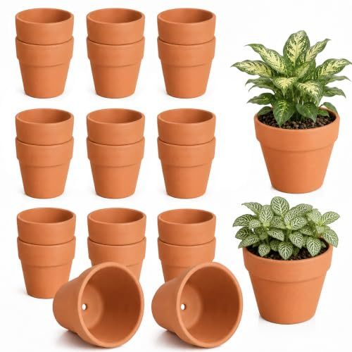 ZhouWei 20 Piezas Macetas de Terracota, 5 X 5,5 cm Macetas Pequeñas Cuenta con Orificios de Drenaje Parte Inferior Lo Que la Hace Ideal Proyectos de Bricolaje, Maceta Barro para El Hogar y la Oficina
