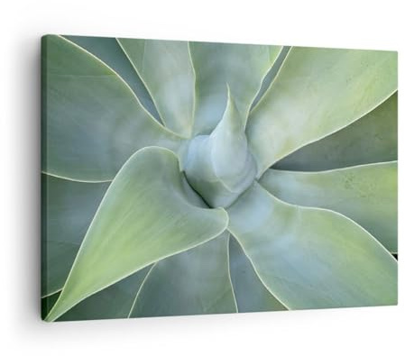Moderno Quadro su Tela 70x50 cm Stampe da Parete Botanica Fiori - 5451