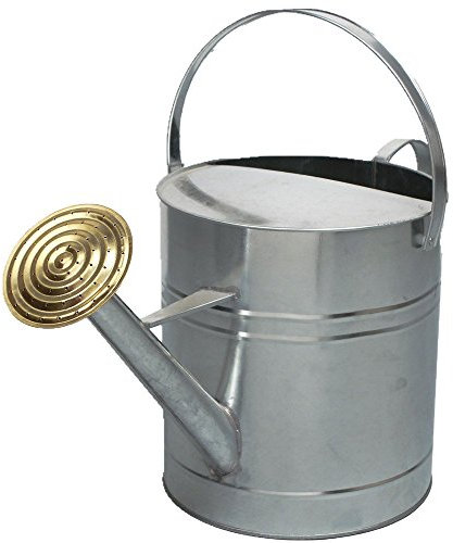 CrazyGadget® Garden Plant Flower Colour Galvanised Metal Steel Watering Can 9L 9 Litre / 2 Gallon with Brass Rose (Galvanised)