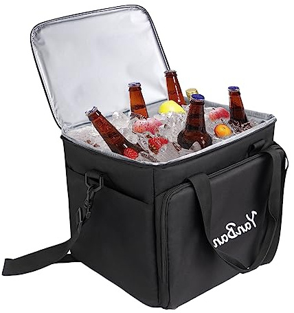 Benfosh 30L Borsa Termica Porta Pranzo Borsa della Spesa,Per picnic in famiglia, barbecue, campeggio, frutta,pranzi d'ufficio ecc