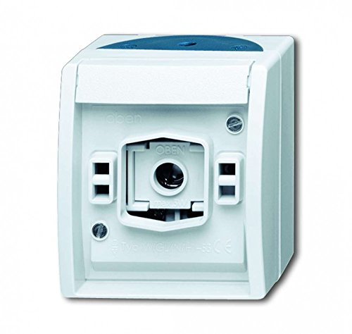 Busch-Jaeger 2661 W-53 Lichtsignal