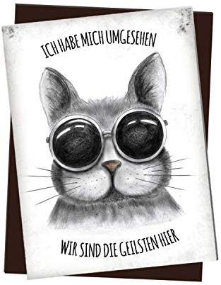 Kühlschrankmagnet mit Katze Motiv und Spruch: Ich Habe Mich umgesehen - wir sind die geilsten Hier