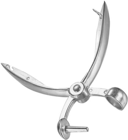 LIFKOME Snocciolatore per Rimuovere Facilmente e Riutilizzabile per Ciliegie e Datteri in Metallo Argento Utensile da Cucina