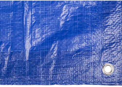 Toldo reforzado gramaje 90 grs, 5 x 8 m, color azul - Catral 560114