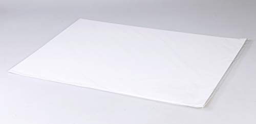 Clairefontaine 975193C Zeichenblock Lavis (10 Blatt, 200g, 42 x 59, 4cm, ideal für Nasstechnik und Lavierung, geleimt) weiß