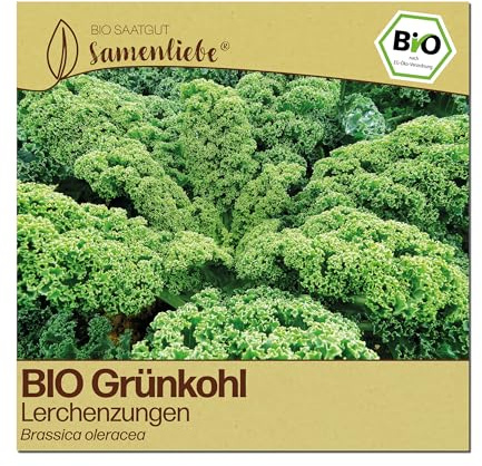 Samenliebe BIO Grünkohl Samen | Lerchenzungen - winterhart & traditionell - samenfestes BIO Saatgut