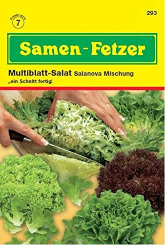 Blattsalat Salanova Mischung, Salatsamen - Mischung aus vier verschiedenen Sorten