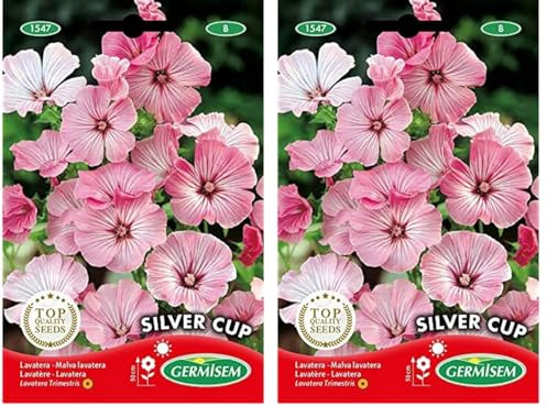 Germisem Silver Cup Semillas de Malva 2 g (EC1547) (Paquete de 2)