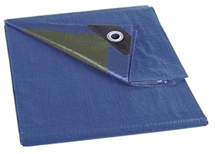 Perel Impuesto, 20 Ojales, ángulos Reforzados, rectangulares, Azul/Verde, 70 g/m², 2 x 8 m