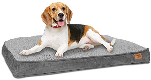 ib style Dreams Hundematte, Hundekissen waschbar, Hundematratze, Schlafplatz mittelgroße Hunde, Hundebett, Abnehmbarer Bezug, M Grau