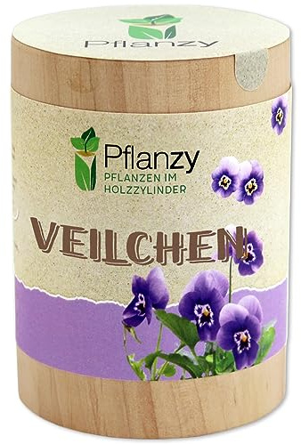 Feel Green Pflanzy Veilchen, Nachhaltige Geschenkidee (100% Eco Friendly), Grow Your Own/Anzuchtset, Pflanzen im Holzzylinder, Made in Austria